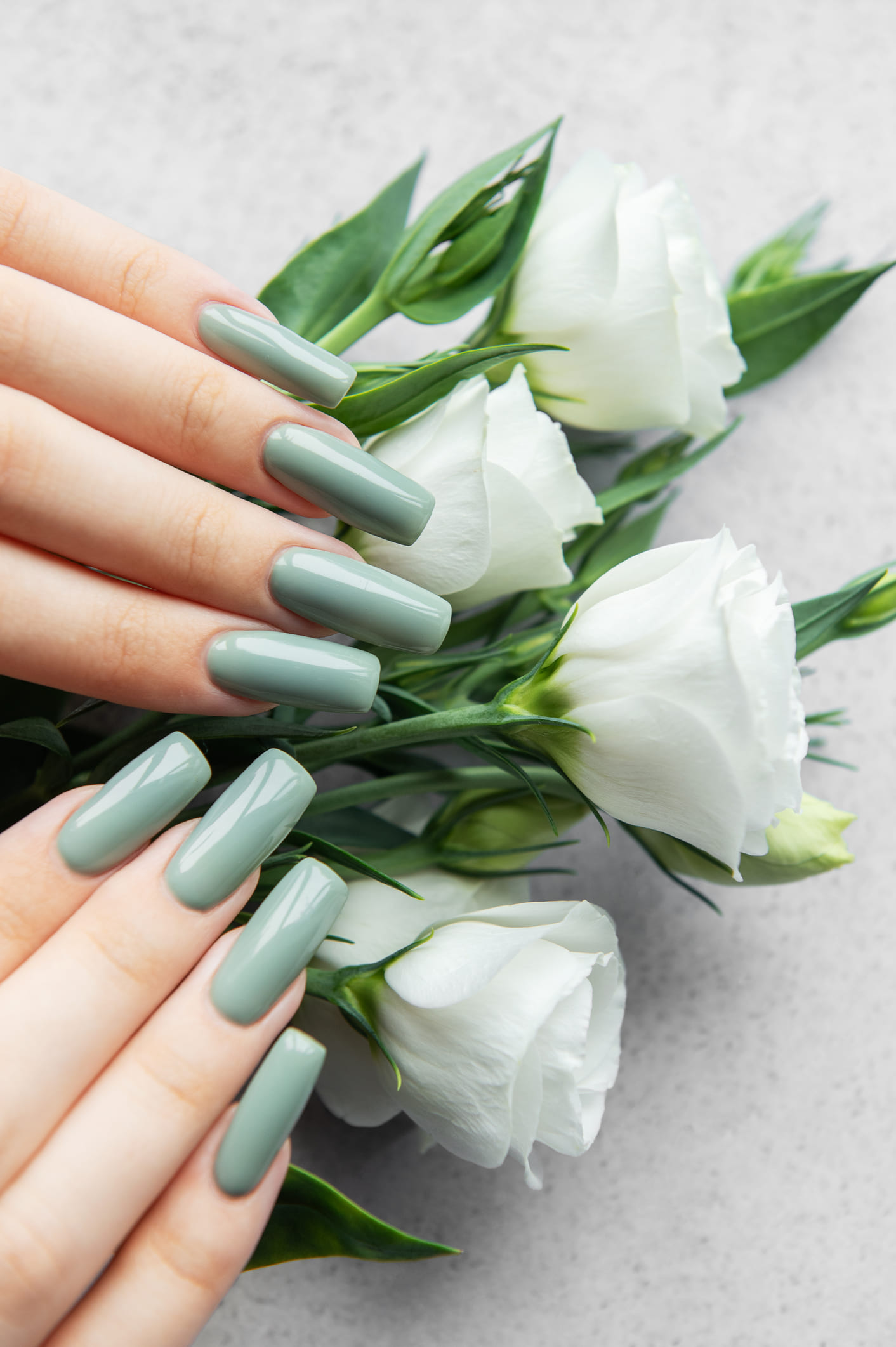 Star Nails Salon in Asheville, NC 28803